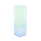 Gradient Acrylic Bud Vase