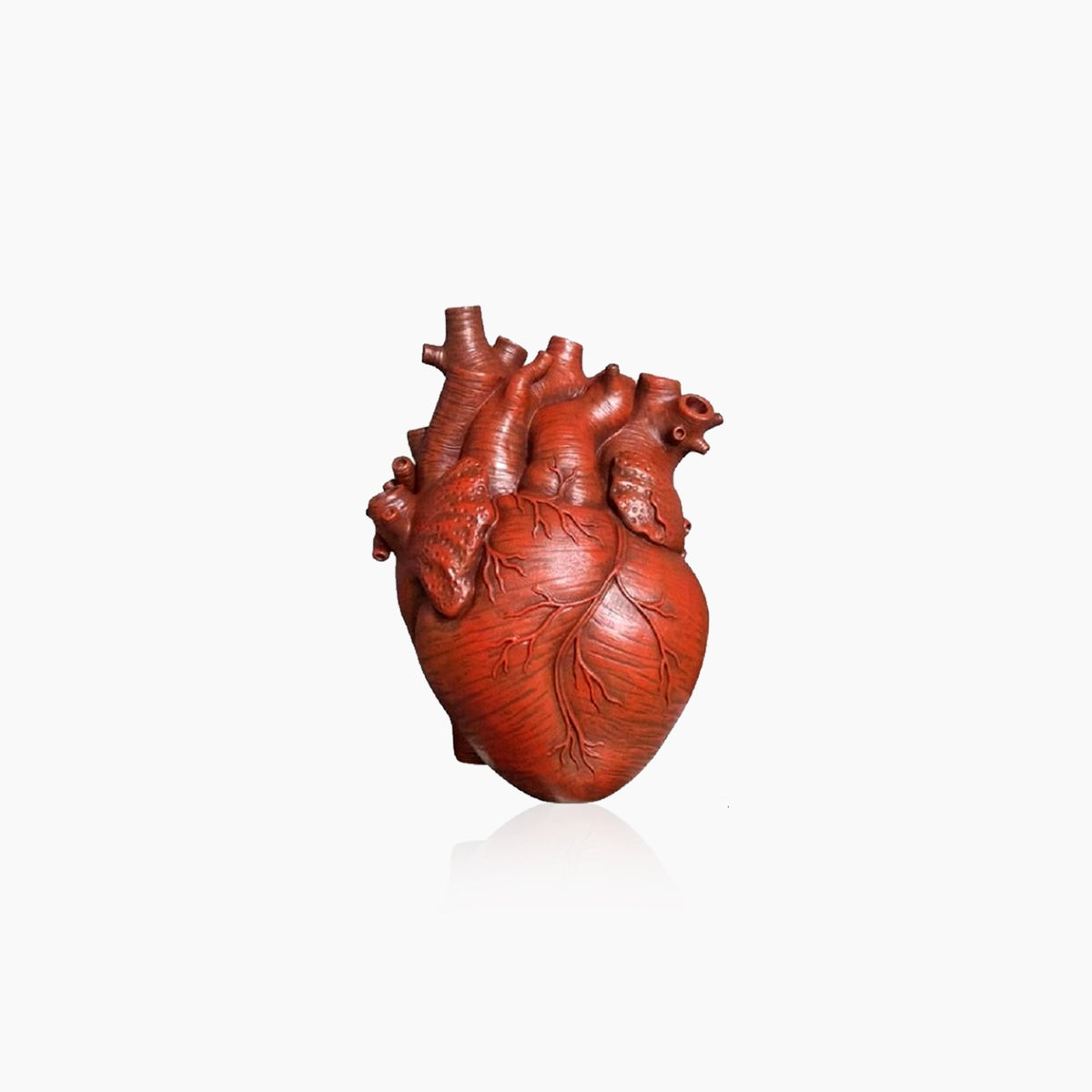 Anatomical Heart Ceramic Flower Vase
