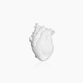 Anatomical Heart Ceramic Flower Vase
