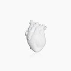 Anatomical Heart Ceramic Flower Vase