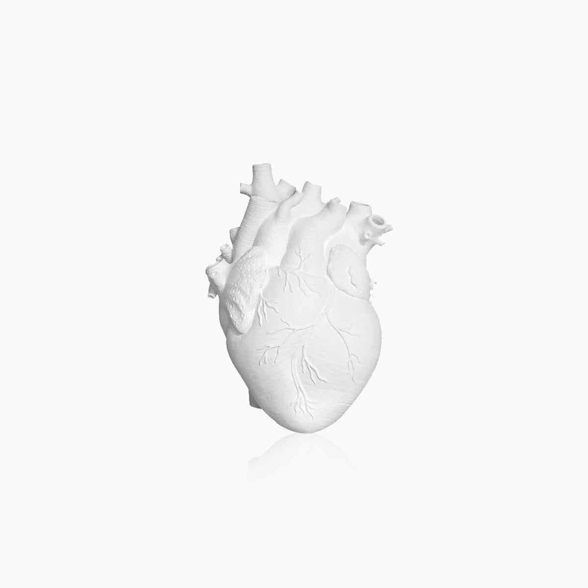 Anatomical Heart Ceramic Flower Vase