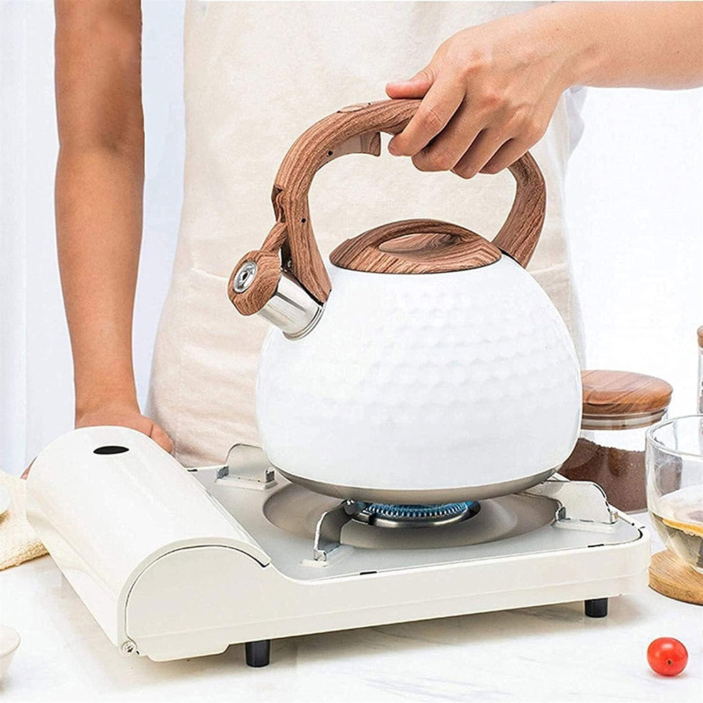 Stainless Steel Whistling Hob Kettle, 2.8 L