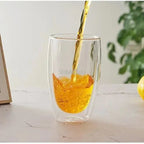 Double Wall Borosilicate Glass Cups