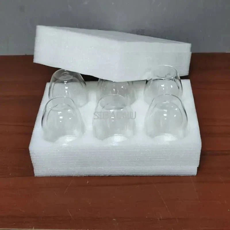 Double Wall Borosilicate Glass Cups