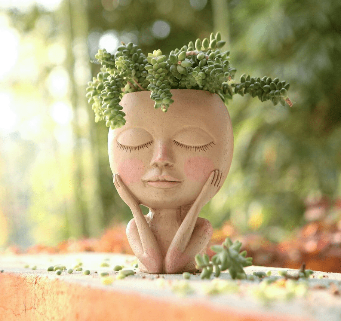 Face Design Resin Plant Pot with Drainage Hole