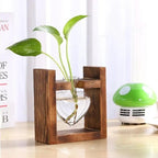 Heart-Shaped Glass Propagation Vase with Wooden Stand