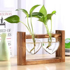 Heart-Shaped Glass Propagation Vase with Wooden Stand