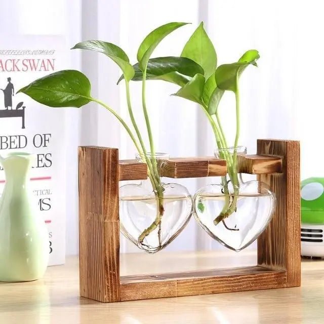 Heart-Shaped Glass Propagation Vase with Wooden Stand