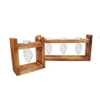 Heart-Shaped Glass Propagation Vase with Wooden Stand