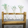 Heart-Shaped Glass Propagation Vase with Wooden Stand