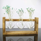 Heart-Shaped Glass Propagation Vase with Wooden Stand