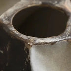 Wabi-Sabi Starfruit Ceramic Vase