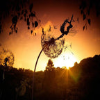 Metal Fairy and Dandelion Garden Stake Decoration — product view 5