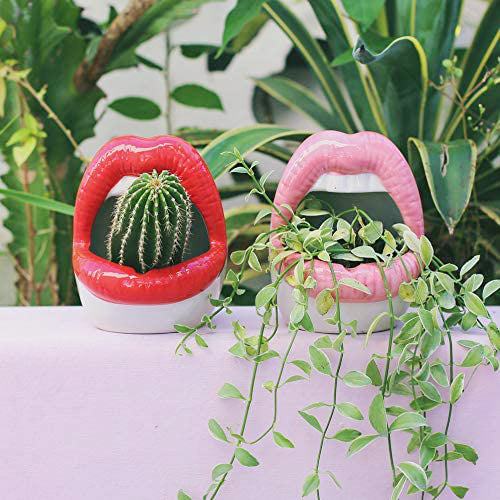 Lips Design Ceramic Plant Pot