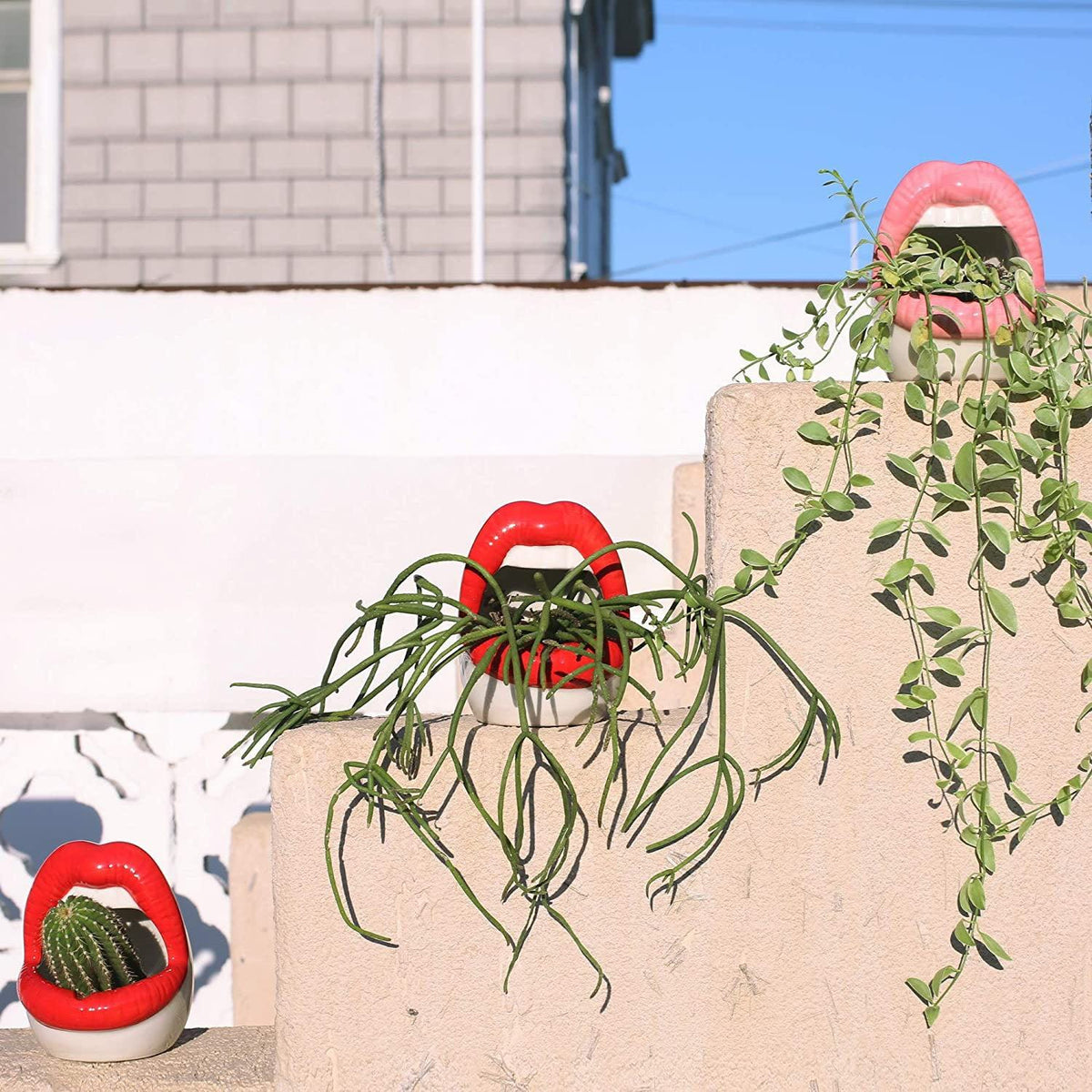 Lips Design Ceramic Plant Pot