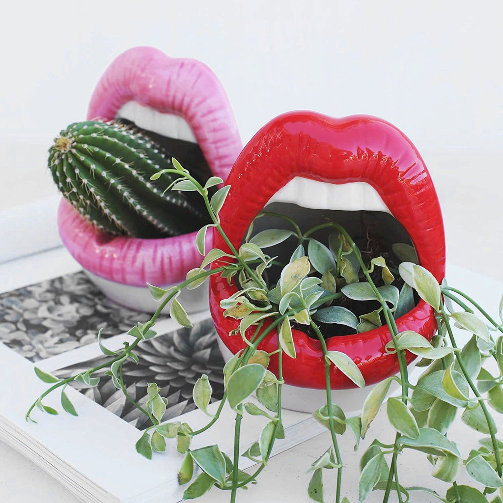 Lips Design Ceramic Plant Pot
