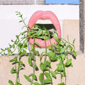 Lips Design Ceramic Plant Pot