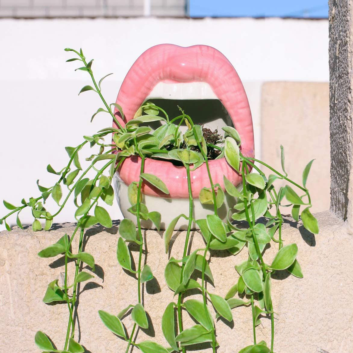 Lips Design Ceramic Plant Pot