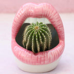 Lips Design Ceramic Plant Pot