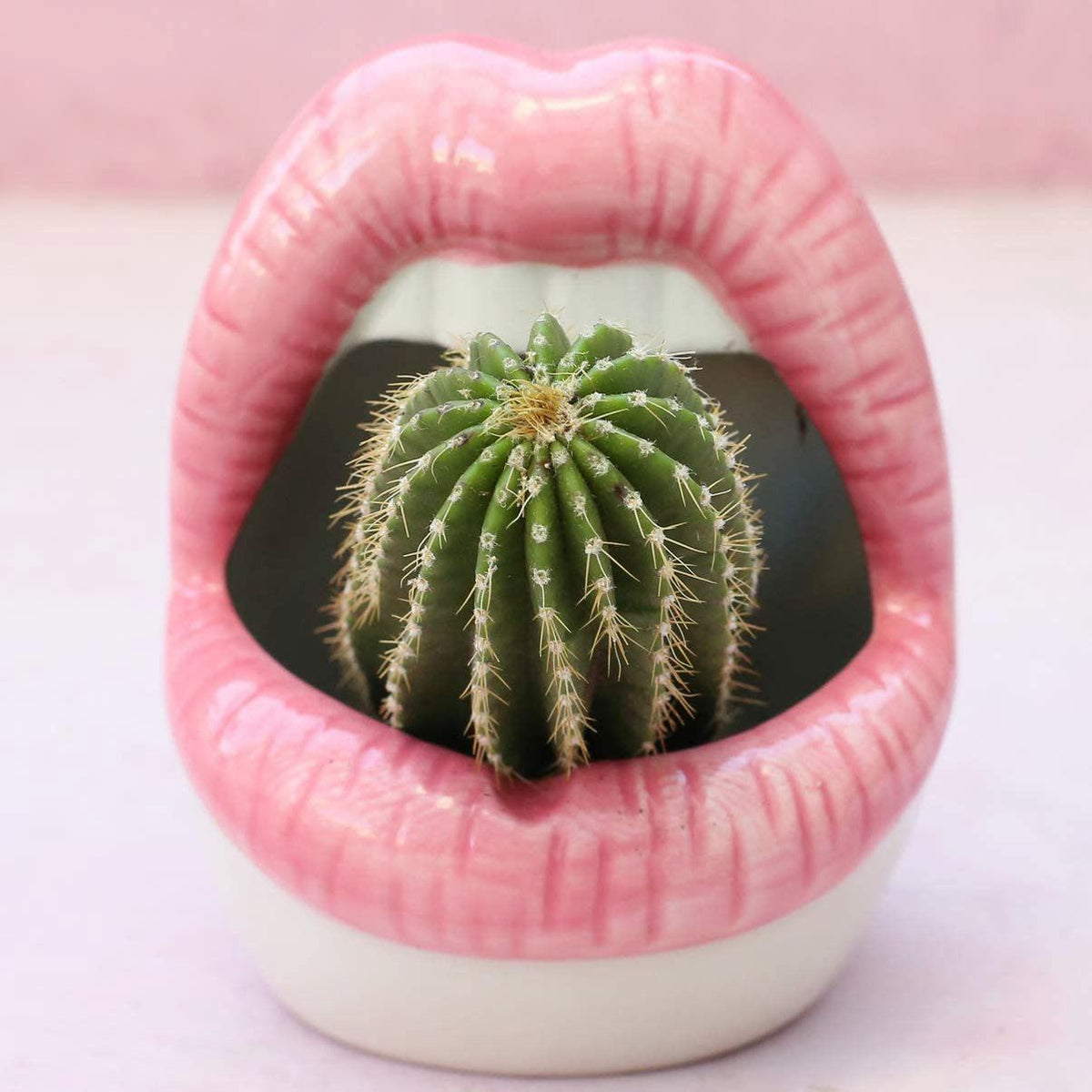 Lips Design Ceramic Plant Pot