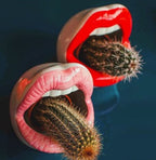 Lips Design Ceramic Plant Pot