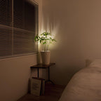 Wall Sconce Battery Operated Modern Adjustable LED Spotlight